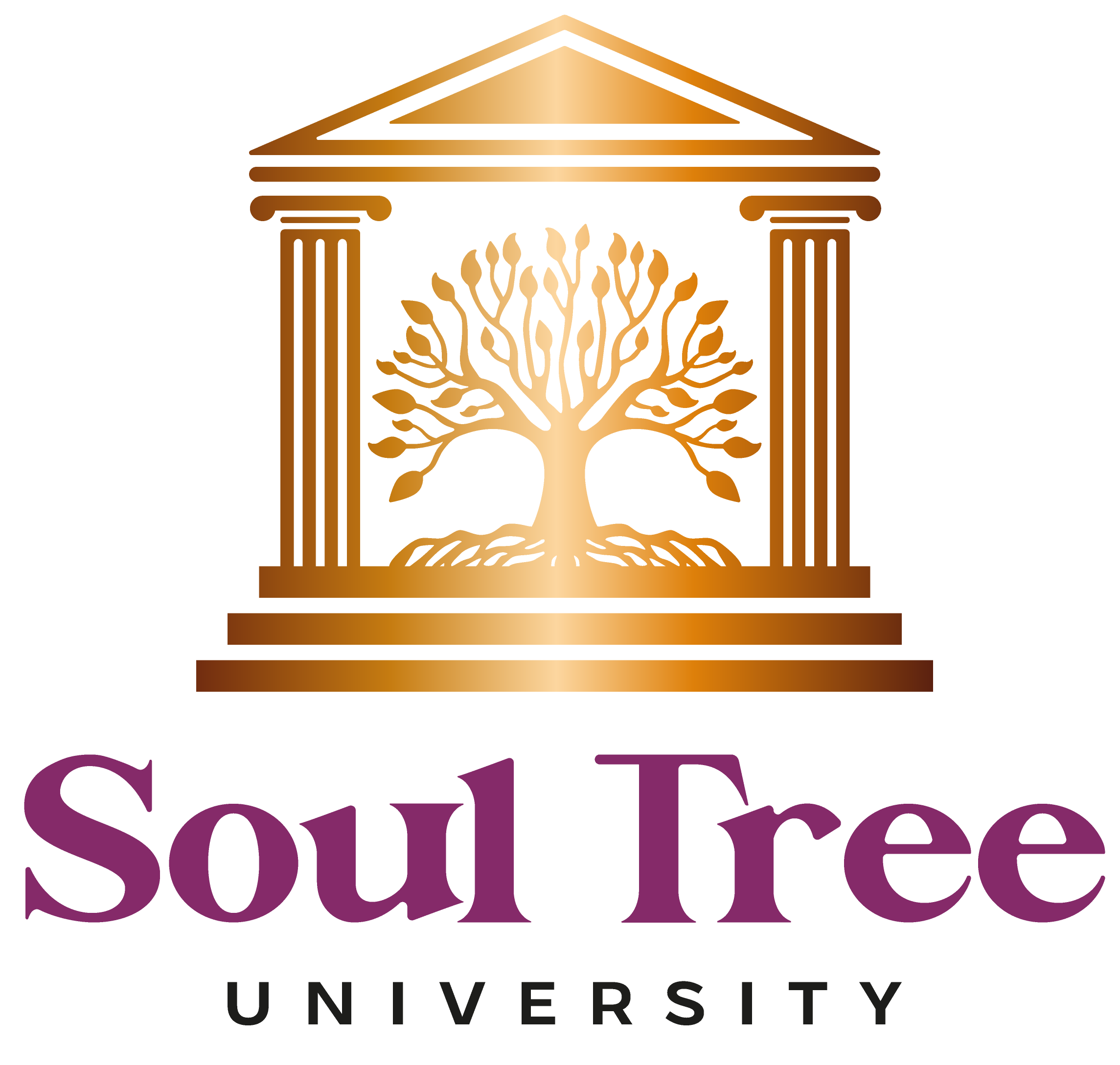 Soul Tree University